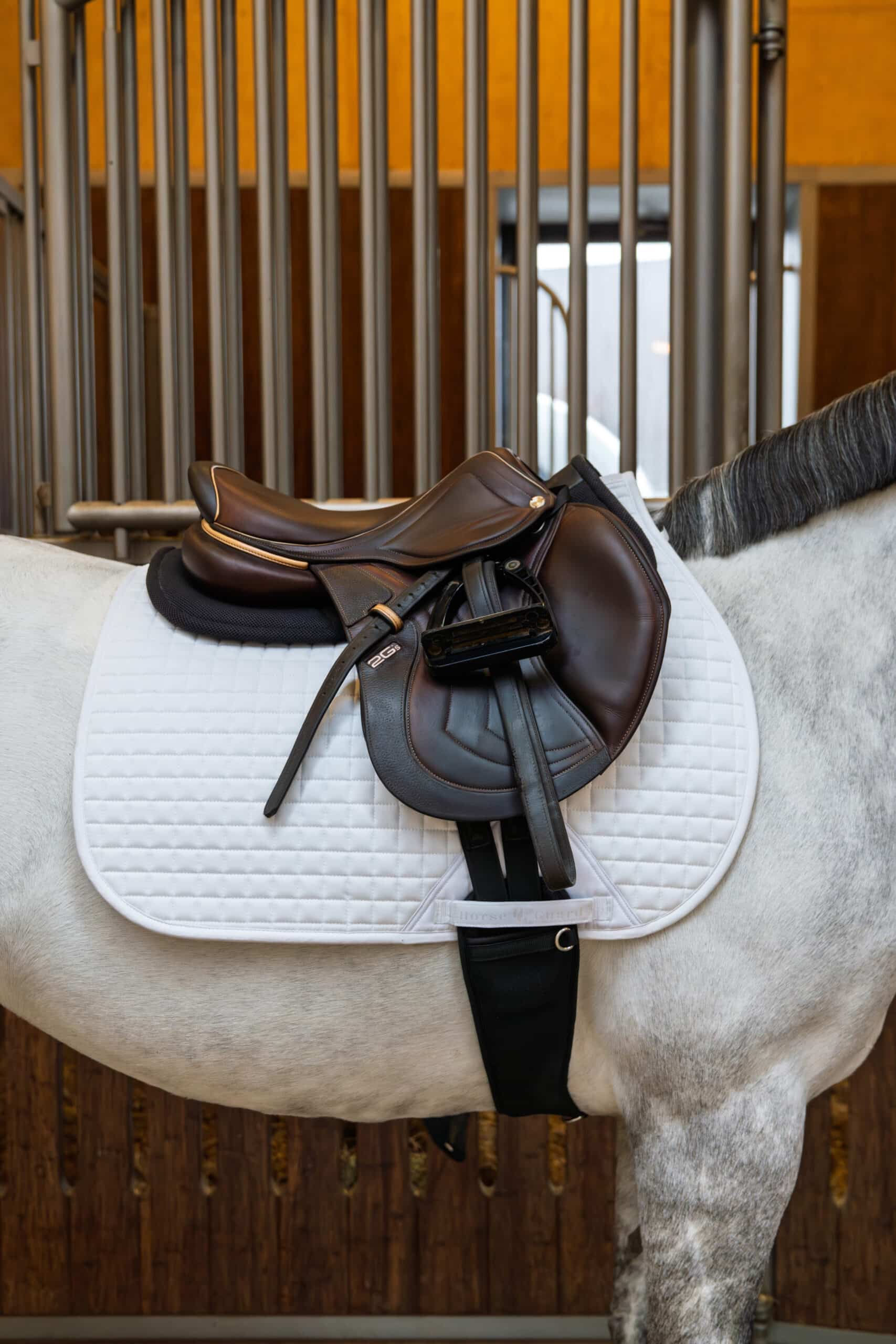 Horse Guard Dressur underlag Elmira Hvid 16